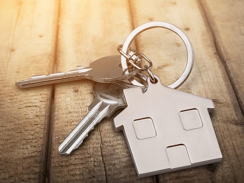 FBR Seed Selling Letting Property FBR Seed Selling Letting Property
