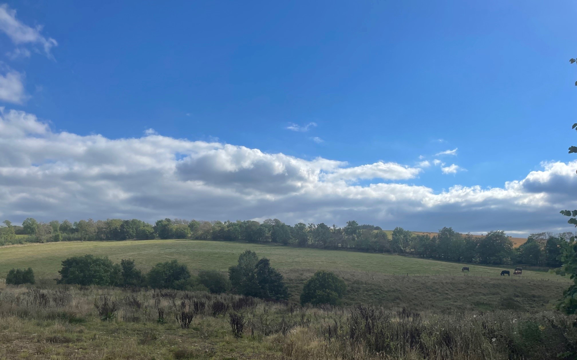 Residential Plots, Birkenside Farm, Earlston, Scottish Borders FBR Seed
