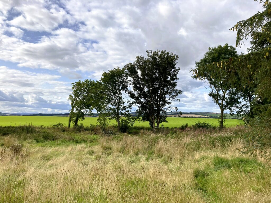 Rutherford Plots, Kelso