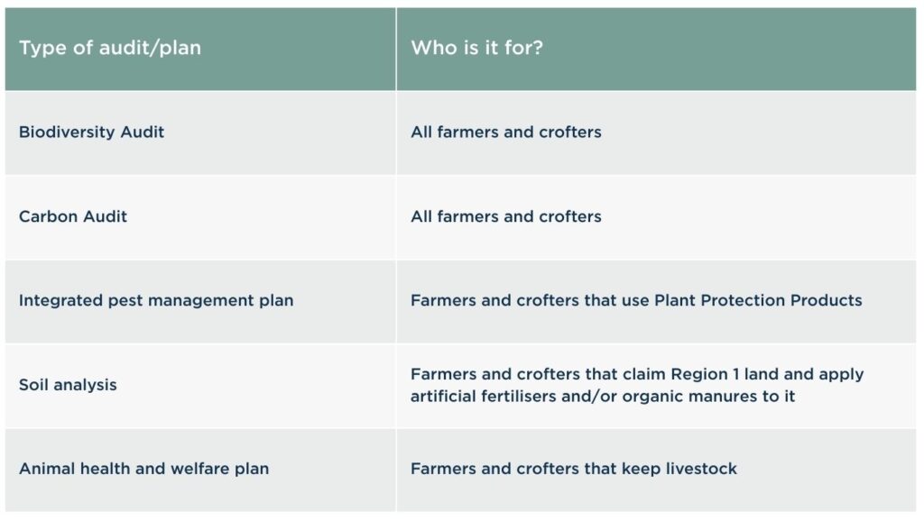 Whole Farm Plan Audit / Plan