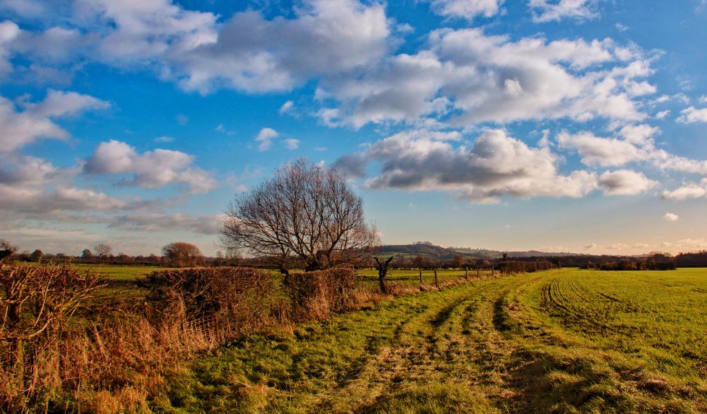 Latest Requirements for Agricultural Support in Scotland