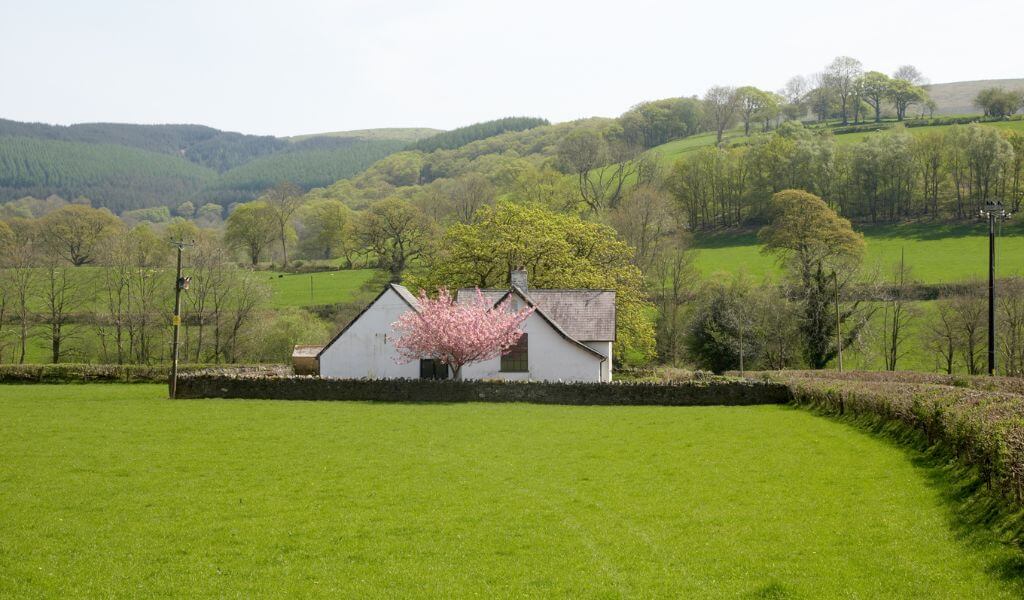 changes to repairing standards for agricultural holdings changes to repairing standards for agricultural holdings