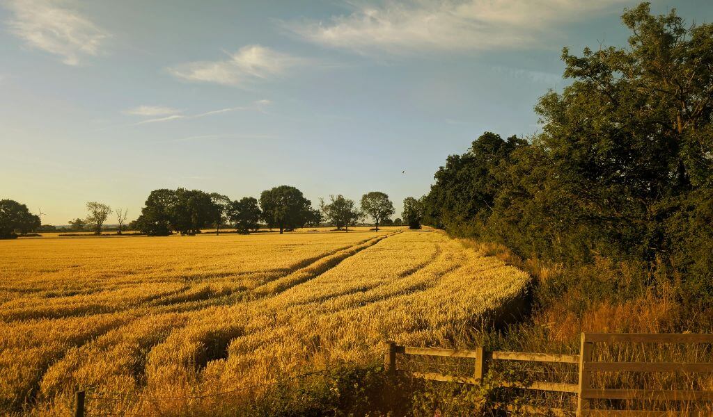 agricultural-support-update-aug-2026 (1)